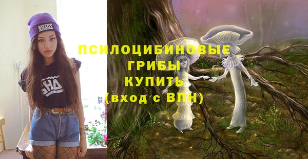 ПСИЛОЦИБИНОВЫЕ ГРИБЫ Нефтегорск