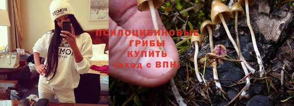 ECSTASY Навашино