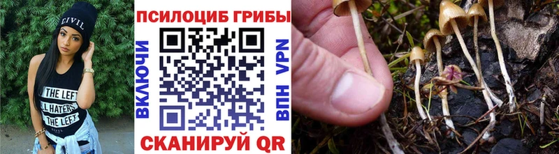 где купить   Пучеж  ОМГ ОМГ как войти  Галлюциногенные грибы GOLDEN TEACHER 